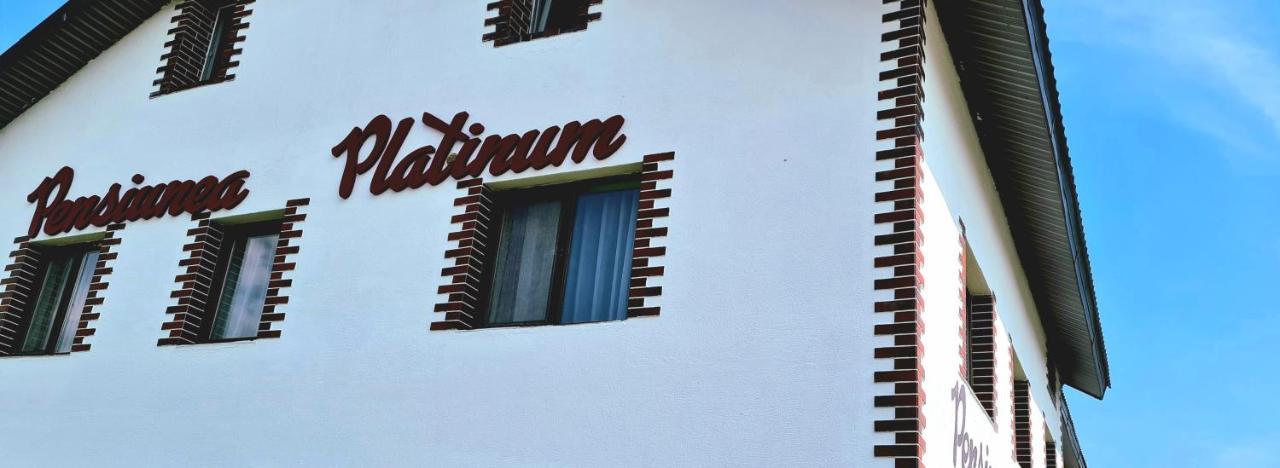 Pensiunea Platinum Târgu Jiu エクステリア 写真